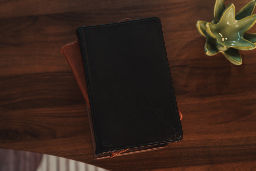 Two books on a wooden surface with a plant in the corner