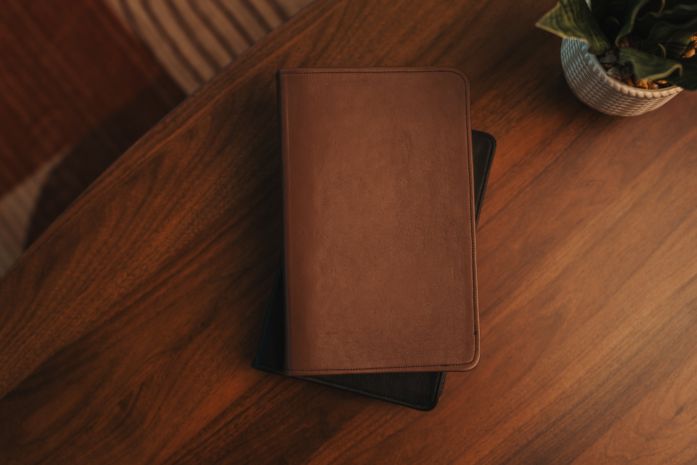 Brown leather book on a wooden surface with a plant in the background