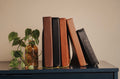 Five books of different colors arranged on a surface with a plant in the foreground.