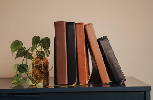Five books of different colors arranged on a surface with a plant in the foreground.